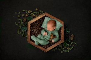 Neugeborenes Baby im olivgrünen Strickstrampler liegt in Holzschale mit Holzpferd im Arm